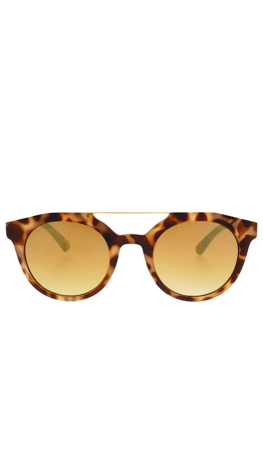 Collins Sunglasses