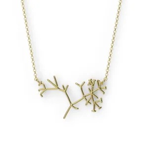 Darwin's phylogenetic tree necklace | gold vermeil - Buy now