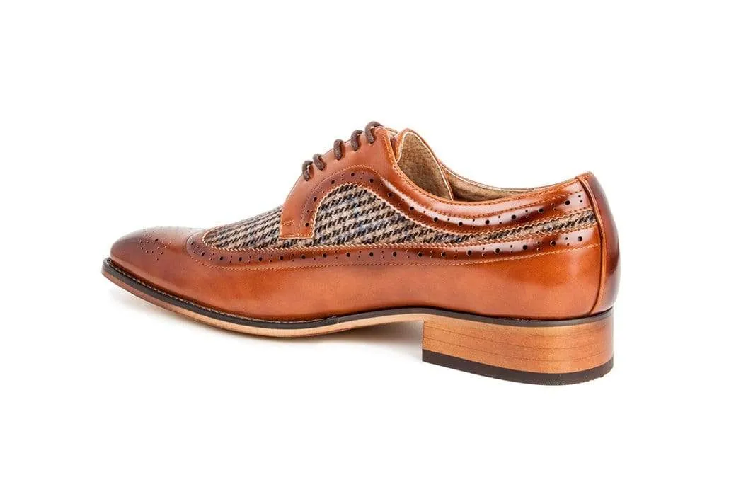 Gino Vitale Men's Wingtip Brogue Shoes in Two Tone