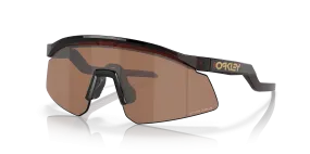 Hydra Sunglasses