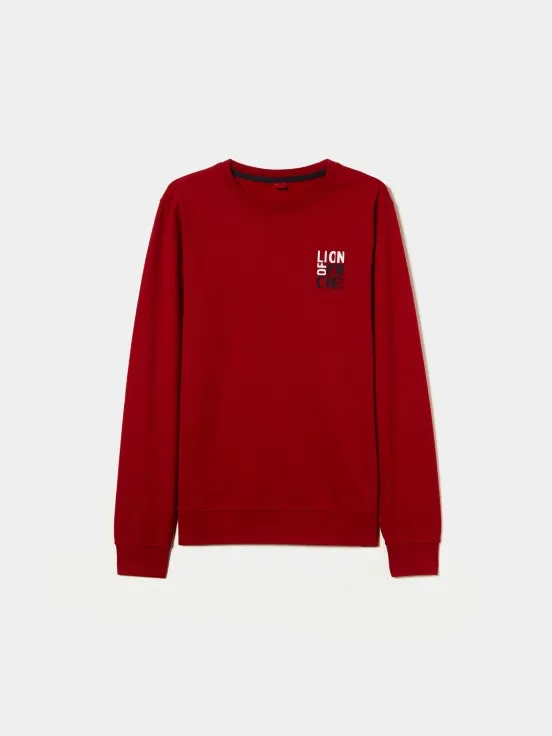 Logo cotton sweater