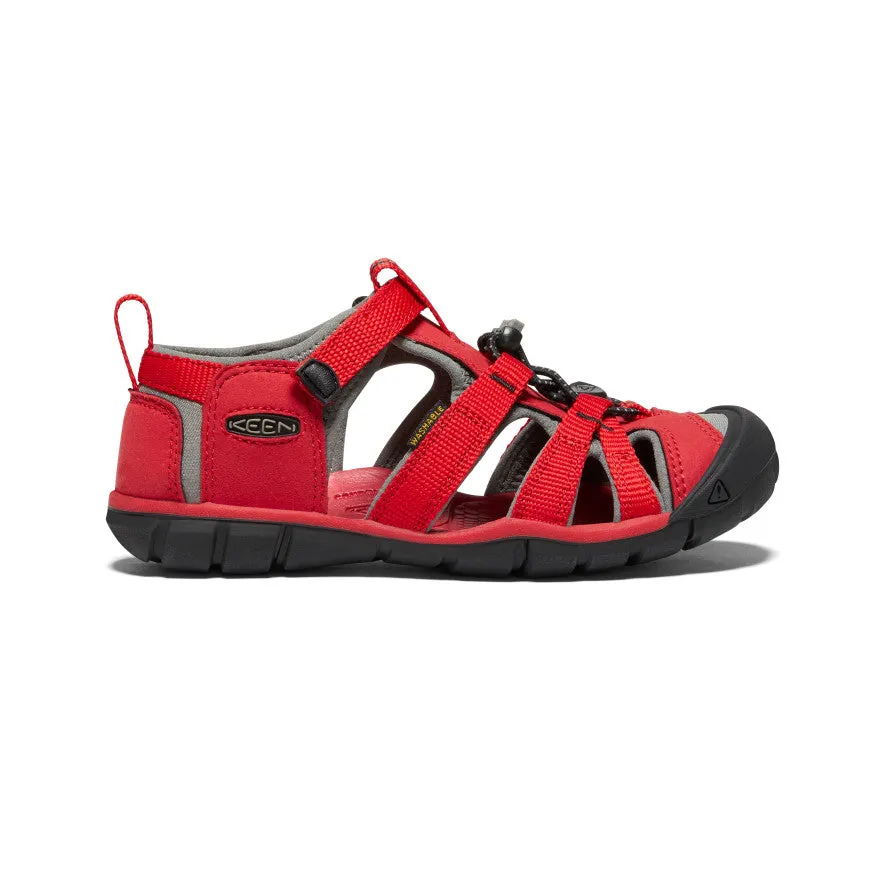 Youth Seacamp II CNX - Racing Red/Gargoyle Nike shoes.