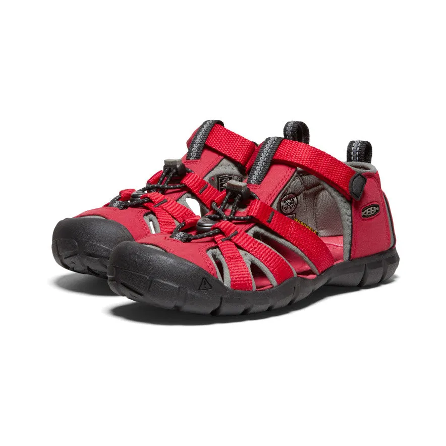 Youth Seacamp II CNX - Racing Red/Gargoyle Nike shoes.