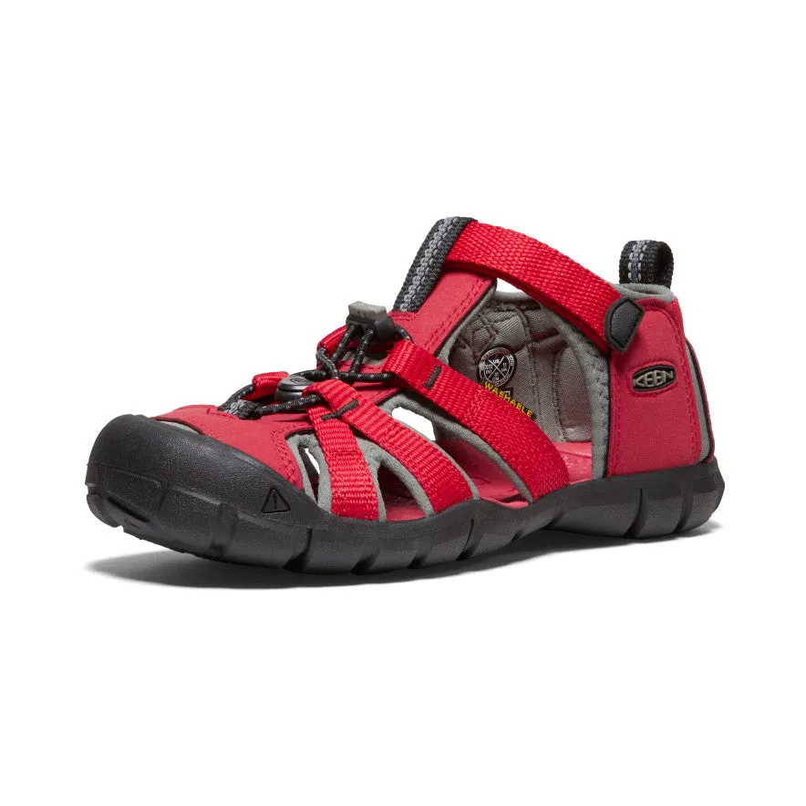 Youth Seacamp II CNX - Racing Red/Gargoyle Nike shoes.